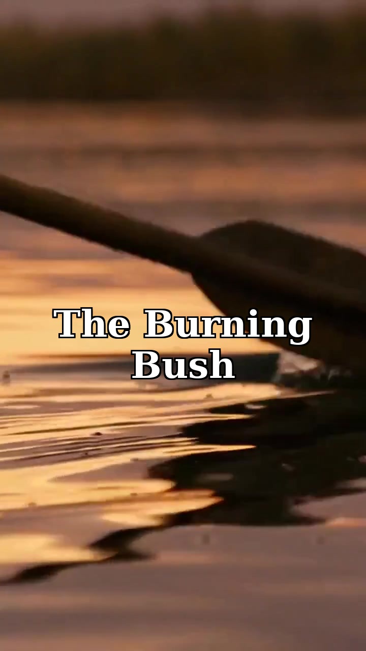 Moses: The Burning Bush